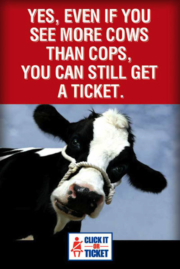 Cow poster